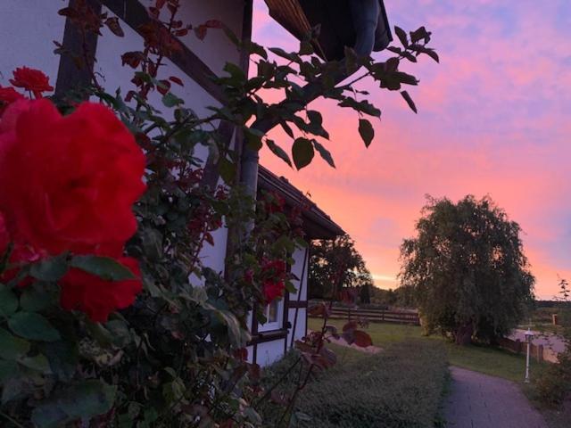 Landhotel Rosenhof Garni Am Plauer See Mit Ladesaeule Fuer E-Autos Quetzin エクステリア 写真